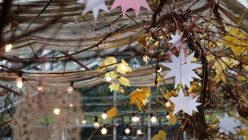 Sct Hans Have julepynt