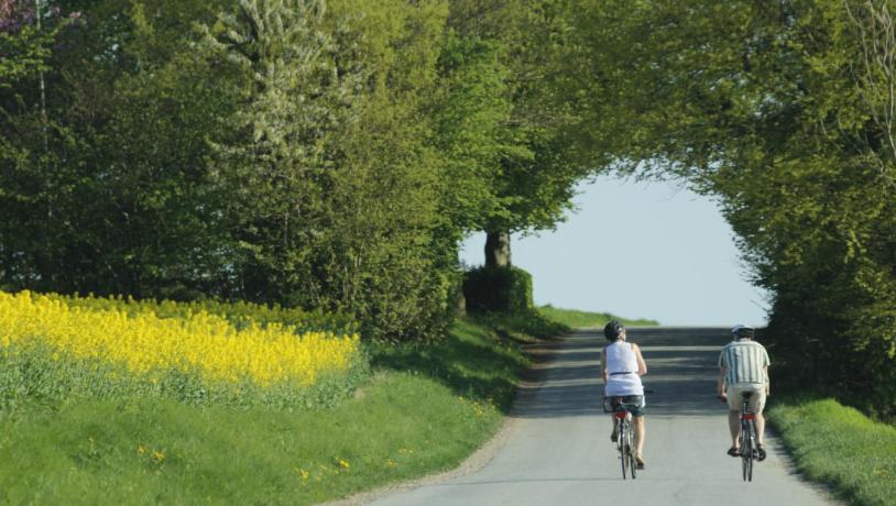idyl cykeltur sommer 