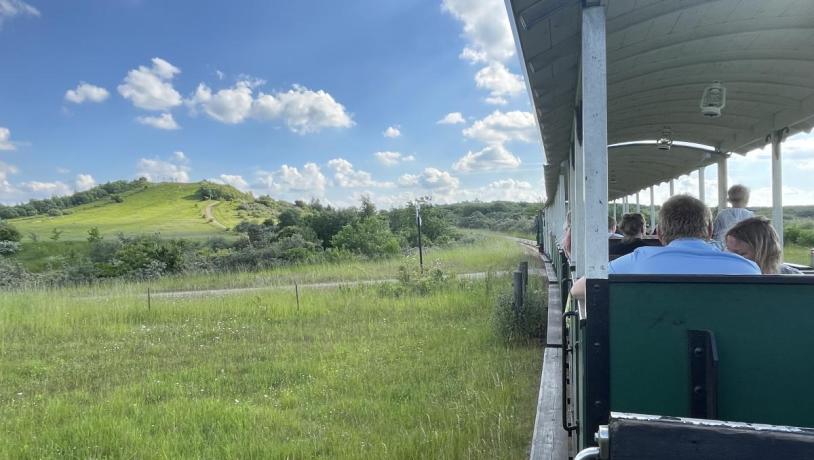 Hedeland veteranbane