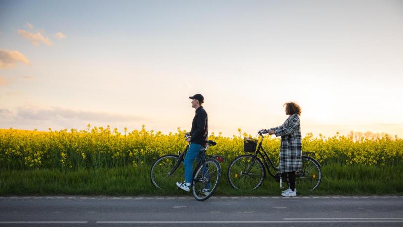 2 personer på cykel ved en rapsmark