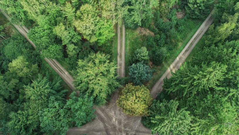 Parforcejagt Stjernen set oppe fra