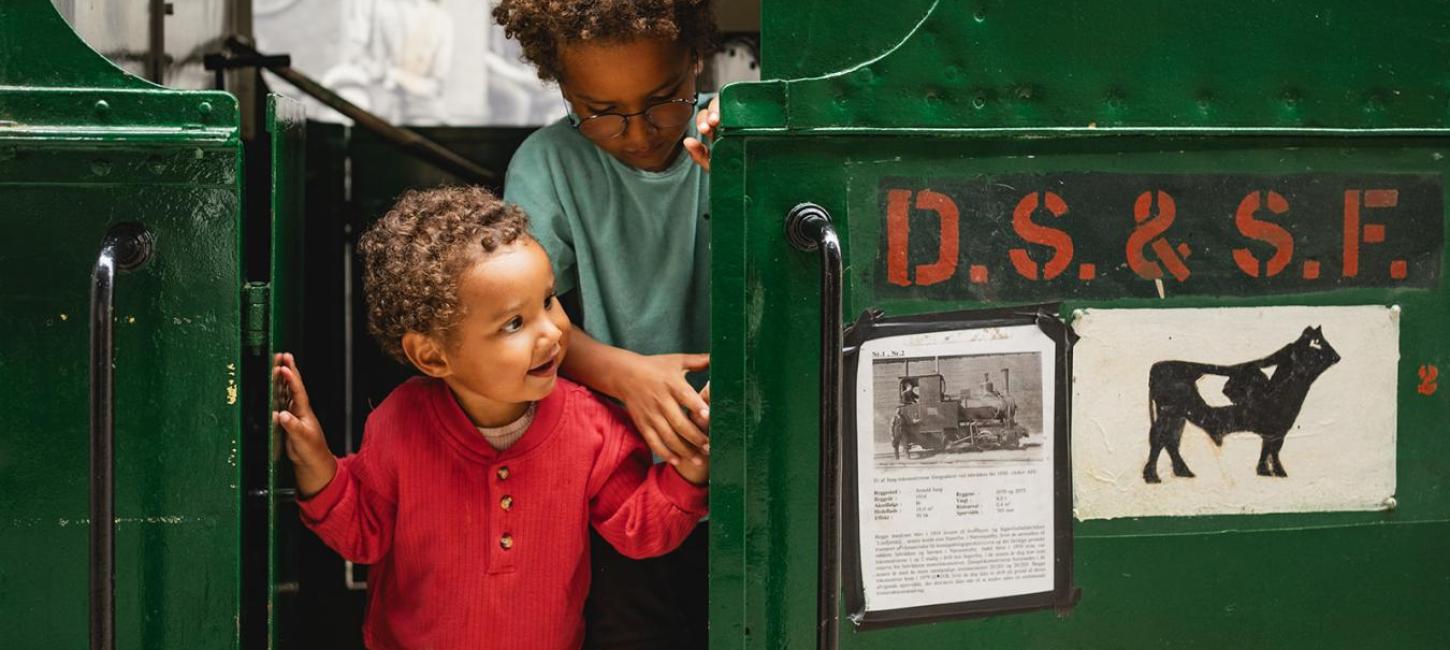 Hedeland Veteranbane