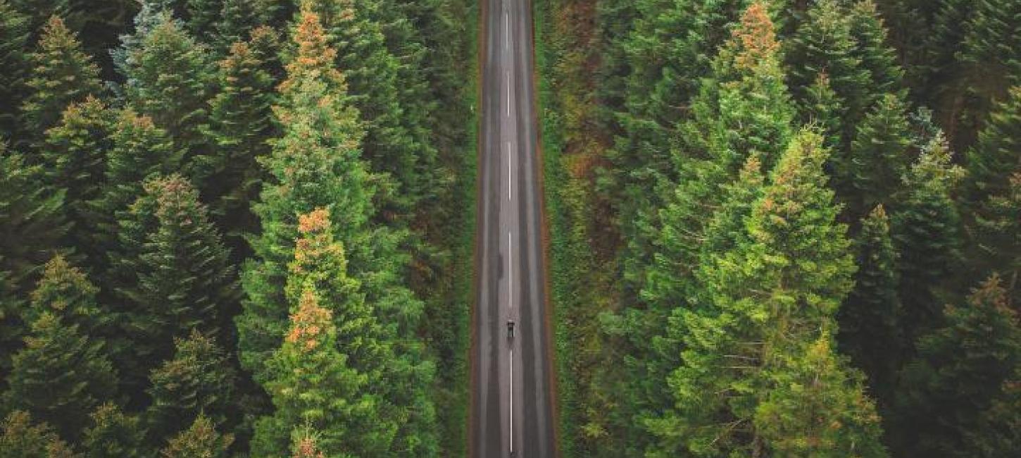 Bidstrup Skovene, Lejre