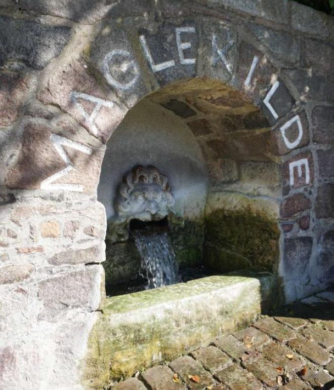 Maglekilde i Roskilde tæt på centrum