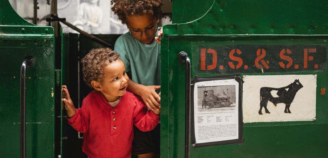 Hedeland Veteranbane