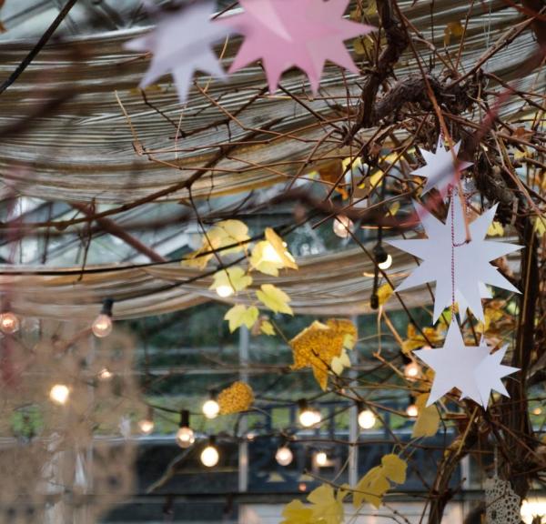 Sct Hans Have julepynt