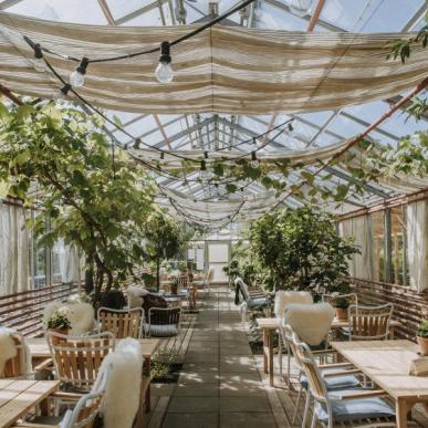 Drivhus på Sankt Hans Have i Roksilde