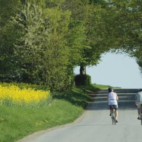 idyl cykeltur sommer 