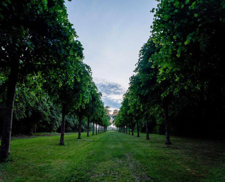 Nationalpark Skjoldungernes Land