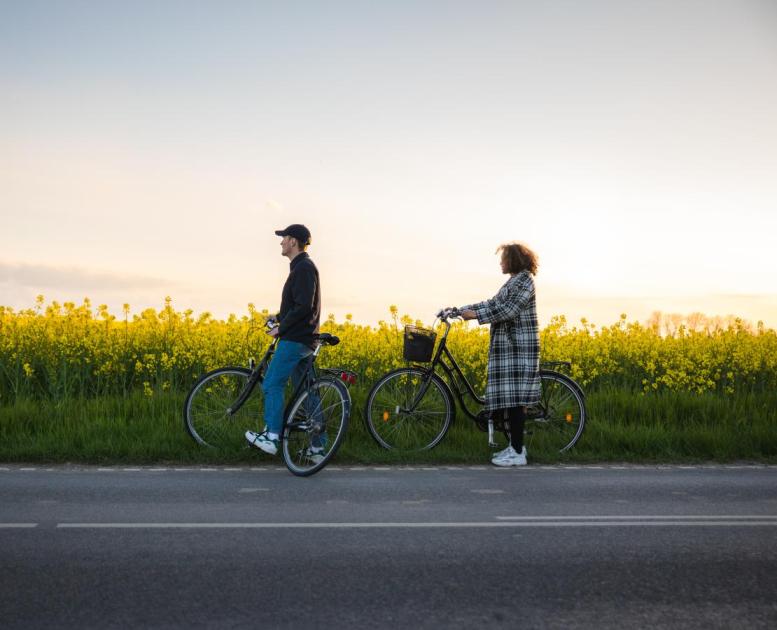 2 personer på cykel ved en rapsmark