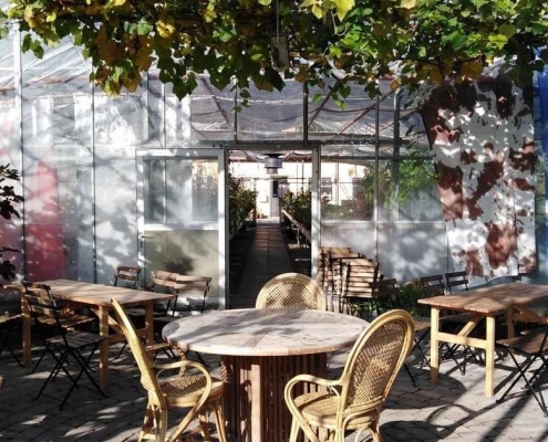 Sct. Hans-have Roskilde café i drivhus