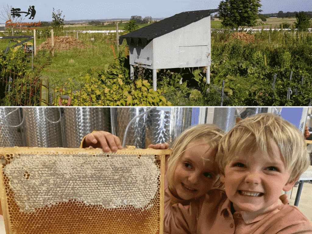 Snoremark-økologisk gård-mjød-cider-lokale råvarer-Roskilde-Fjordlandet-oplevelser-bryggeri-honningevents-for børn-sommerferie