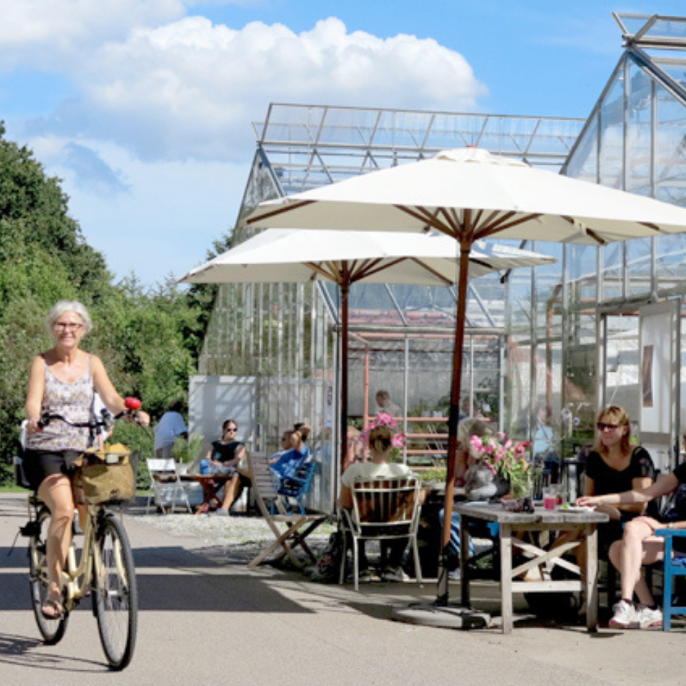 Sct. Hans Have i Roskilde - rekreativ have - café - gartneri - mødested - økologi - butik - events
