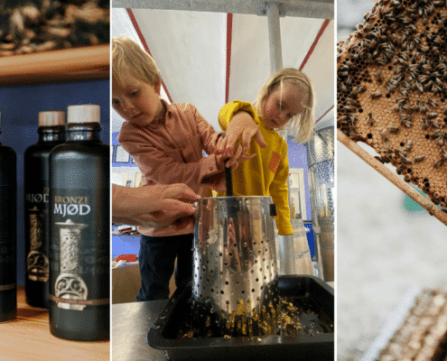 Snoremark-økologisk gård-mjød-cider-lokale råvarer-Roskilde-Fjordlandet-oplevelser-bryggeri-honningevents-for børn