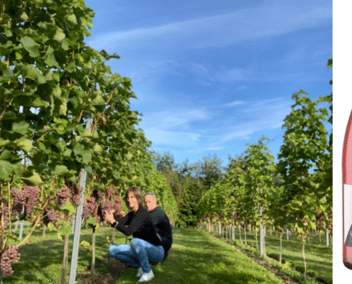 LangeLinie Vin ved Frederikssund - Pilegaard - vingård  - bæredygtighed - vinbutik - rundvisning - vinsmagning