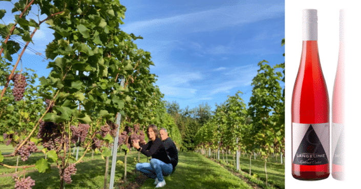 LangeLinie Vin ved Frederikssund - Pilegaard - vingård  - bæredygtighed - vinbutik - rundvisning - vinsmagning