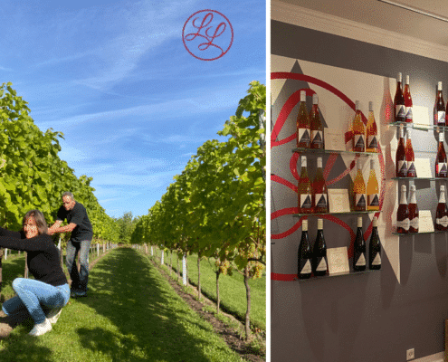 LangeLinie Vin ved Frederikssund - Pilegaard - vingård - bæredygtighed - vinbutik - rundvisning - vinsmagning