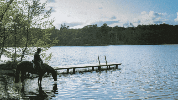 Avnsø – badesøen hans ole madsen