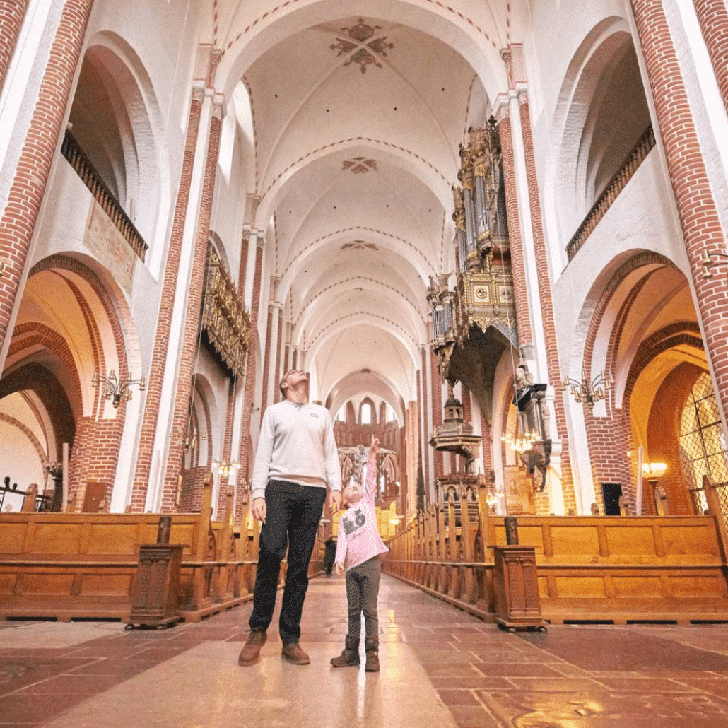 Gæster i Roskilde Domkirke