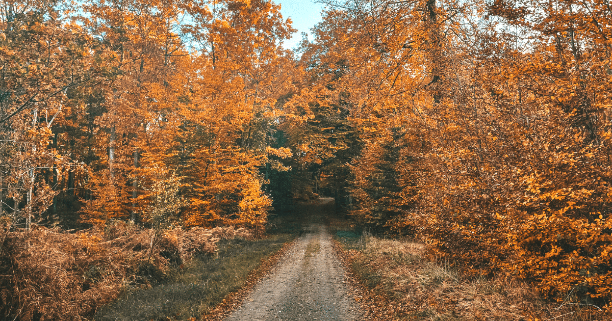 Herbstwanderungen