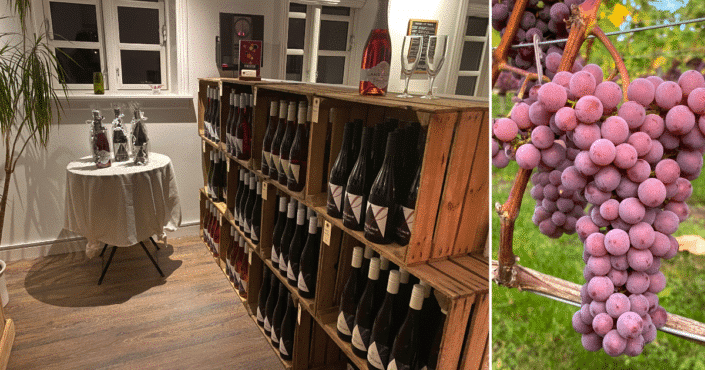 Langelinie vin frederikssund vinsmagning i fjordlandet